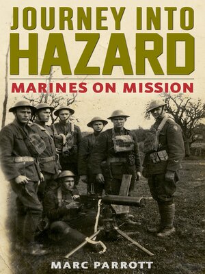 cover image of Journey into Hazard